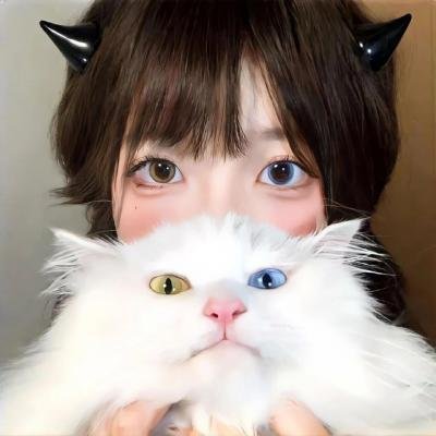 新手人生
